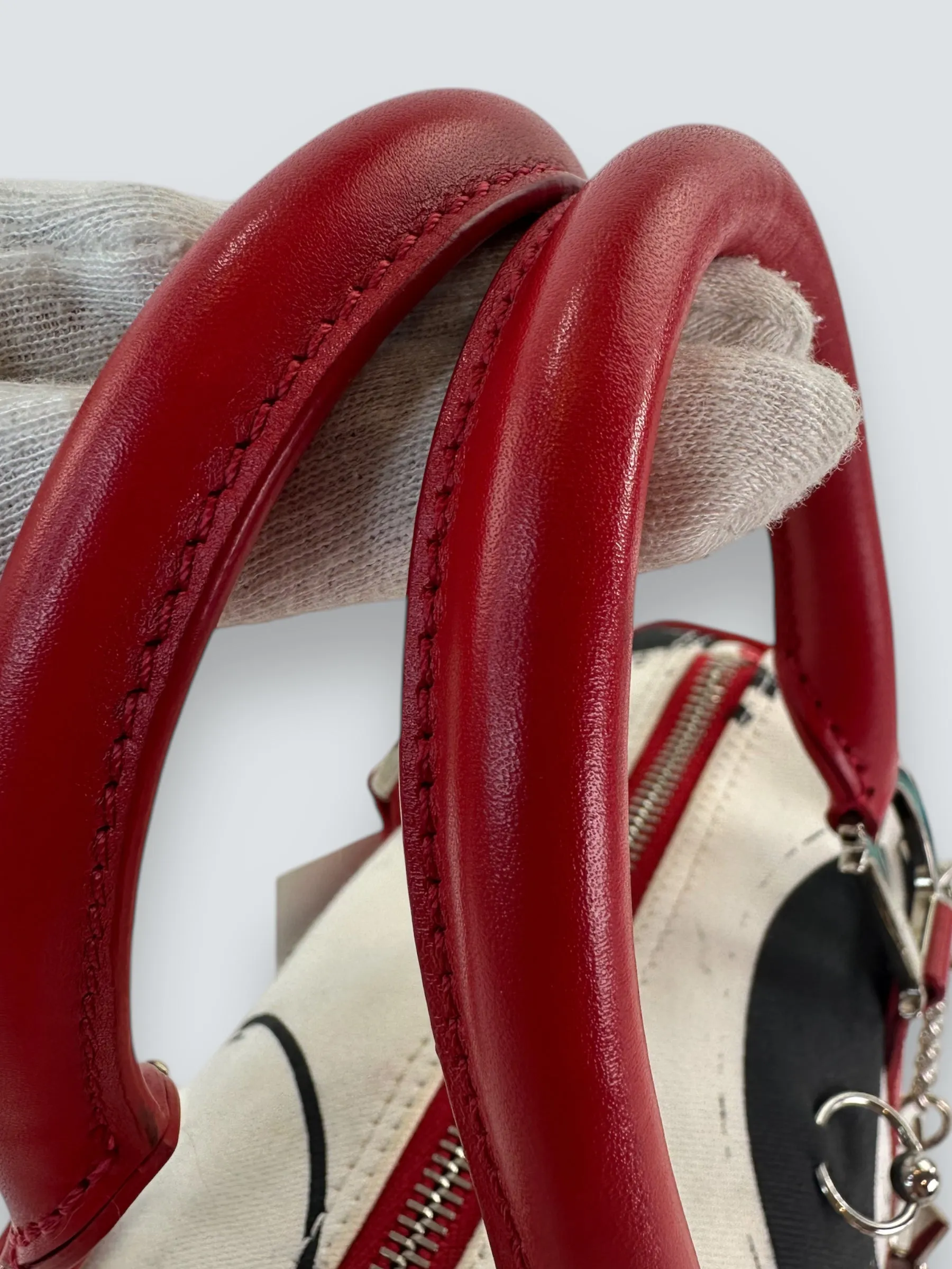 Christian Dior Hardcore Pierced Boston Small Tote
