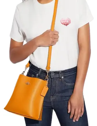 Coach Mollie Bucket Bag 22