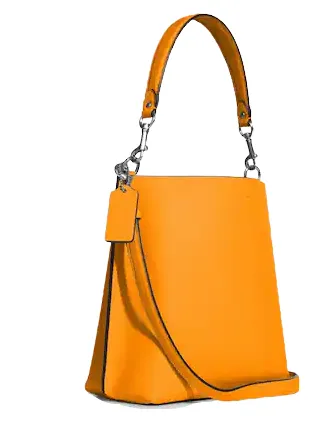 Coach Mollie Bucket Bag 22