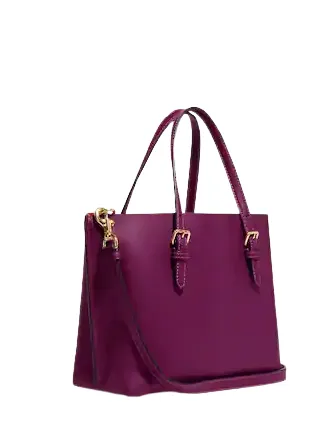 Coach Mollie Tote 25 With Signature Canvas Interior