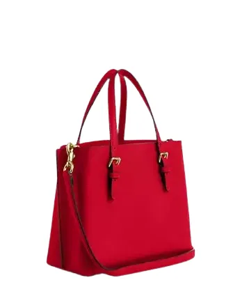 Coach Mollie Tote 25