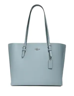 Coach Mollie Tote