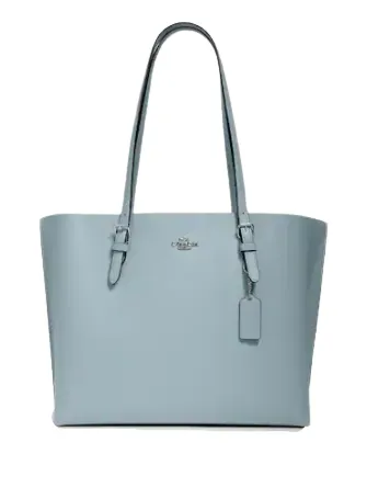 Coach Mollie Tote