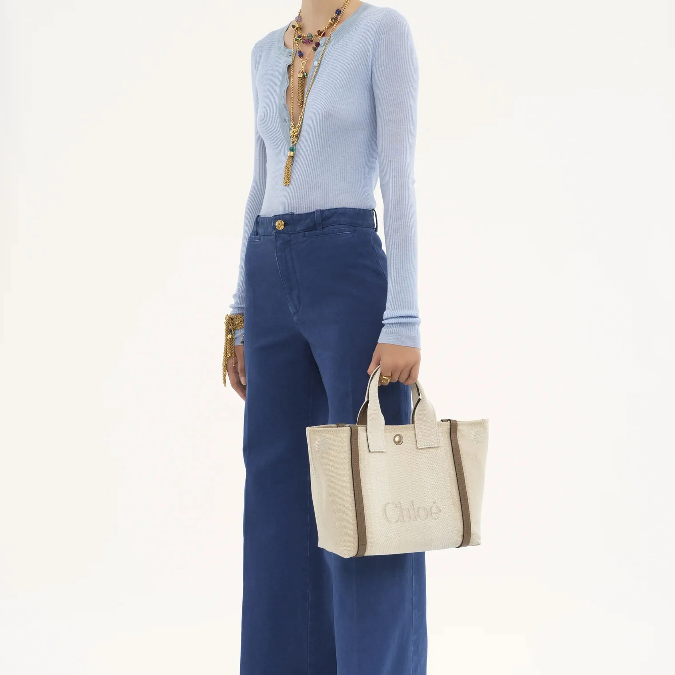 Small Canvas Carry Tote, Vegetal Beige