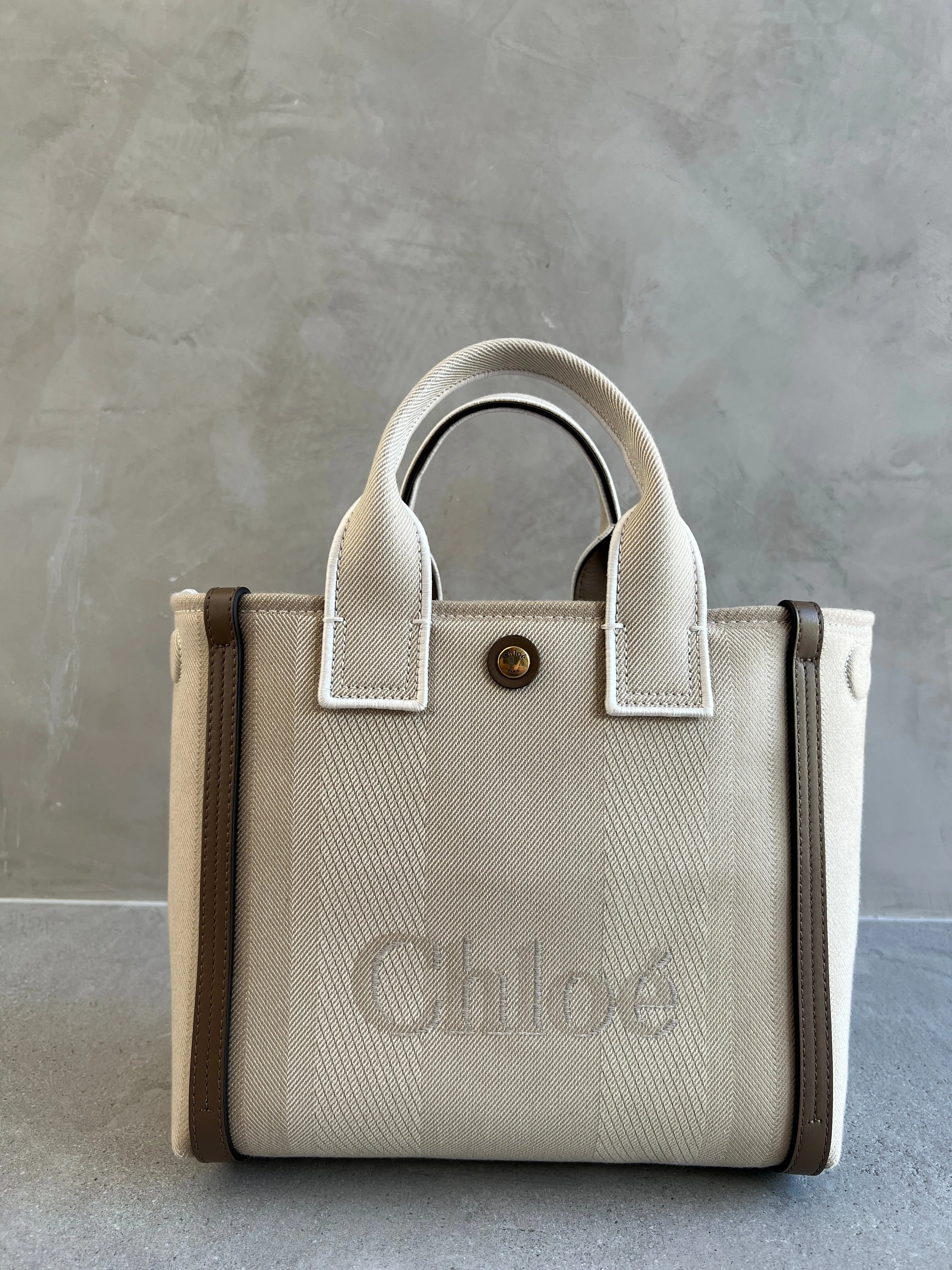Small Canvas Carry Tote, Vegetal Beige