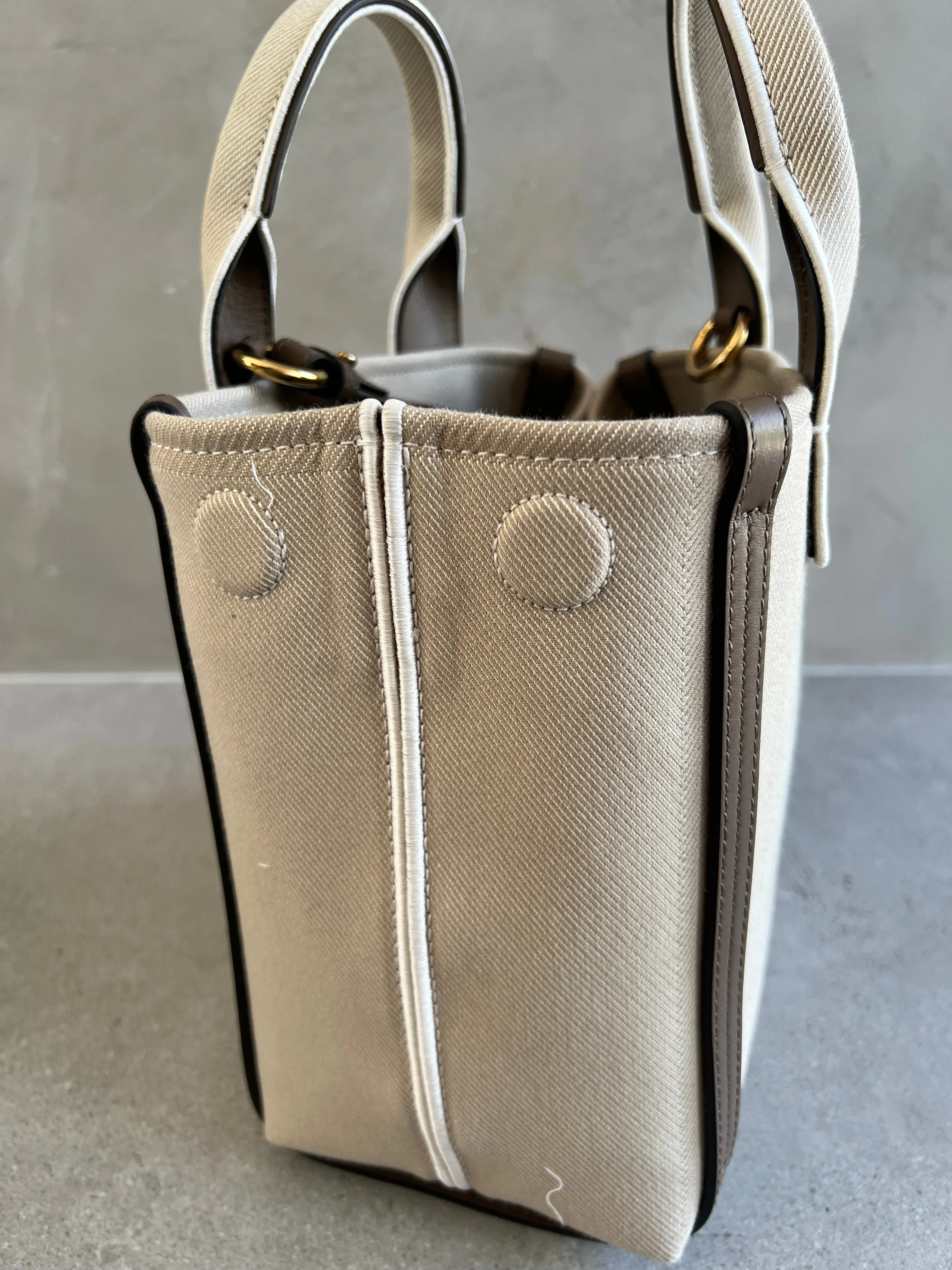 Small Canvas Carry Tote, Vegetal Beige